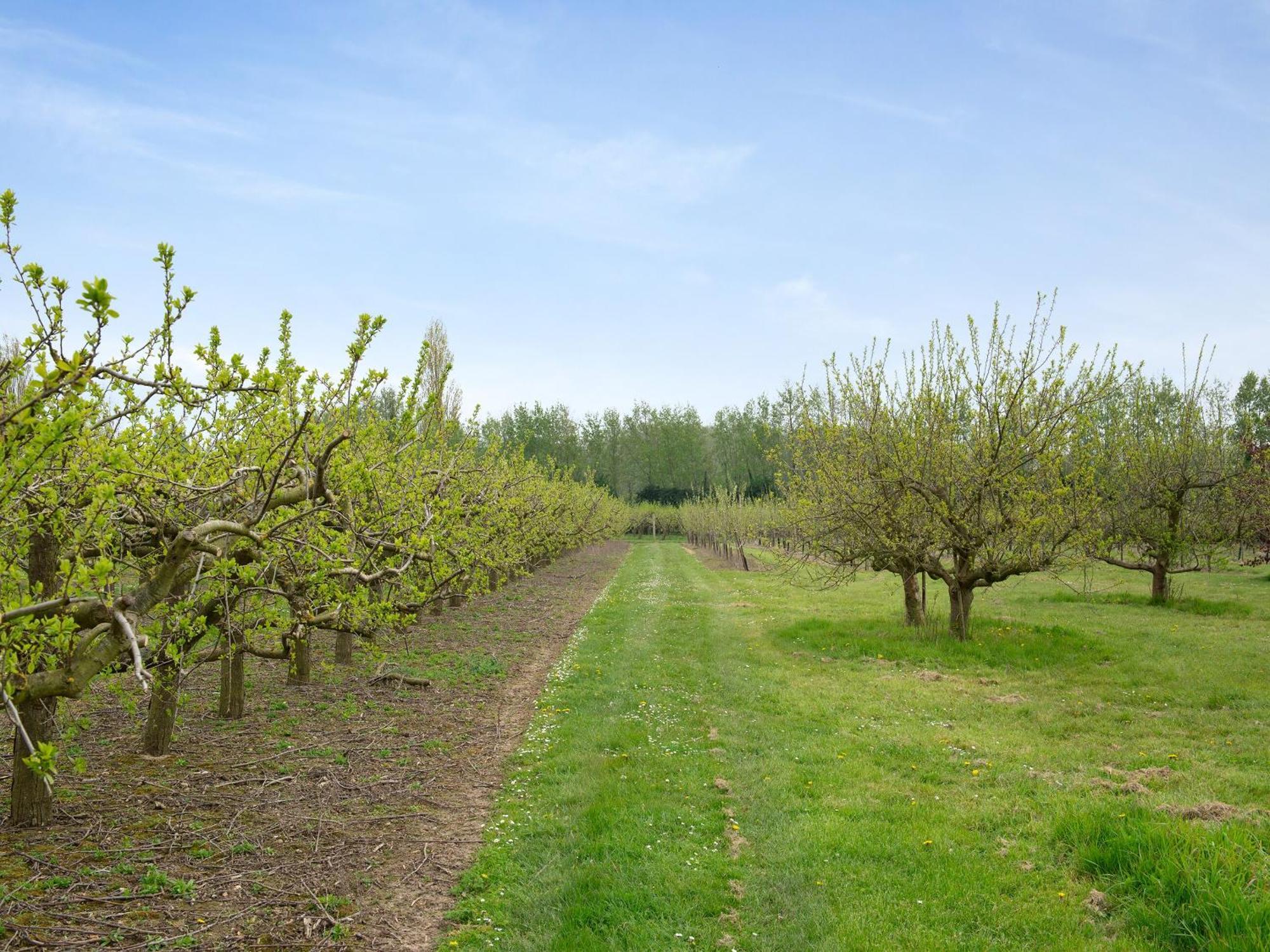 Oast View - Uk43088 Βίλα Preston  Εξωτερικό φωτογραφία